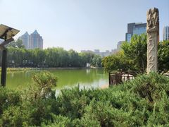 -团结湖公园