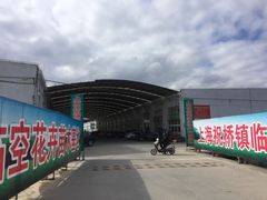 -龙大花卉苗木市场