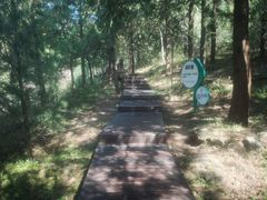 -北京十三陵国家森林公园蟒山景区