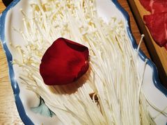 -青瓷火锅料理(西单大悦城店)