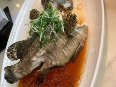 -陶陶居酒家(SM二期购物广场店)