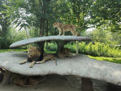 -北京野生动物园