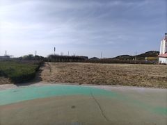 -西海岸生态观光园