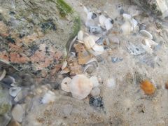 -亚龙湾中心广场