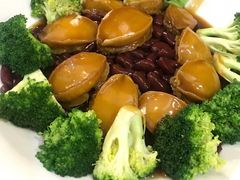 -龙悦湾酒家·八阵鱼生·渔人码头店