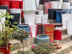 -金陵花卉交易市场