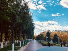 -大兴滨河森林公园