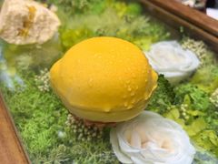 -成都观隐颐云台酒店-芳菲秀