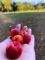 -大望京儿童游乐场