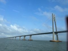 -招商蛇口邮轮母港(观光客运)