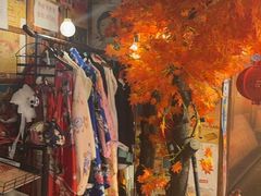 -桃太郎寿司料理(南坪店)