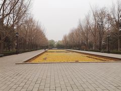-玲珑塔公园