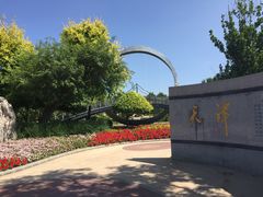 -武清南湖绿博园