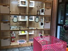 -小呆的宠物店·宠物售卖·宠物寄养(城西店)