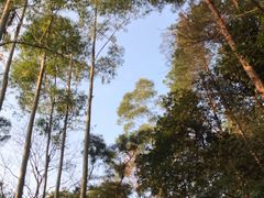 -三门江国家森林公园