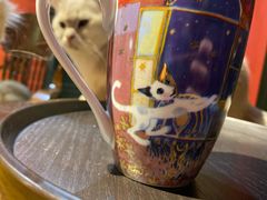 -猫色咖啡·猫咖