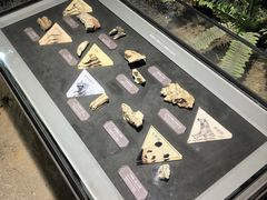 -马鞍山市博物馆