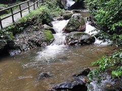 -莫里热带雨林景区