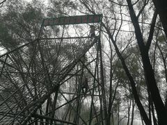 -东方巨龟苑景区