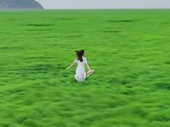-鄱阳湖国家湿地公园