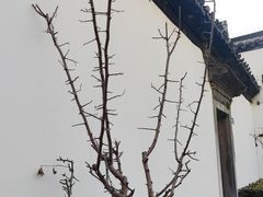 -南京市民俗博物馆(甘熙宅第)
