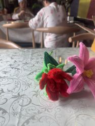 -保丽宝泰母婴护理院·月子中心·产康·中医(常州店)