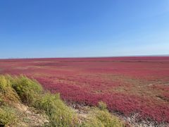 -红海滩国家风景廊道
