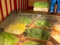 -牛New寿喜烧(金鹰世界店)
