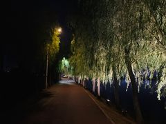 -艾溪湖湿地公园