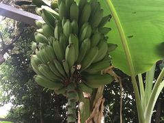 -龙达温泉生态城