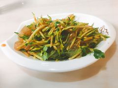 老醋蛰皮黄瓜-宝印真饺(瑞景总店)