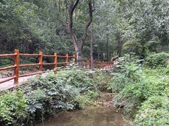-云丘山景区