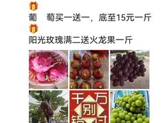 -尚果生态采摘园
