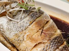 -紫光园·烤鸭·北京菜(劲松店)