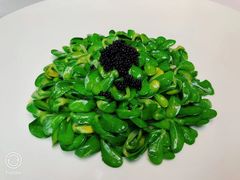 -茉里观邸(民国洋楼店)