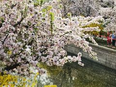 -海棠花溪(元大都城垣遗址公园)