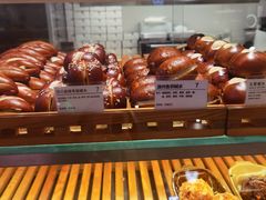 -WHEN PIGS FLY当猪飞
