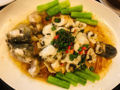 清蒸石斑鱼-猪肉婆私房菜(容桂总店)