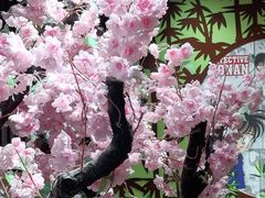 -学习谷日语培训日本留学·多语种外语教学(海淀人大分部)