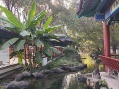 -百脉泉景区
