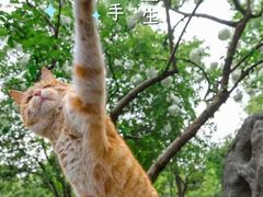 -盡膳口福跷脚牛肉火锅(合生汇购物中心店)