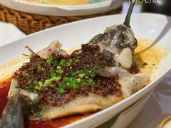 -南麓·浙里(外滩店)