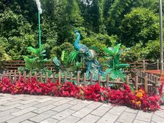 -西双版纳原始森林公园