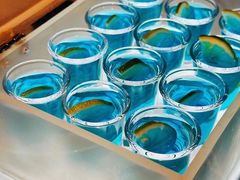 -胡桃里音乐酒馆(石家庄店)