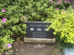 -汇龙潭
