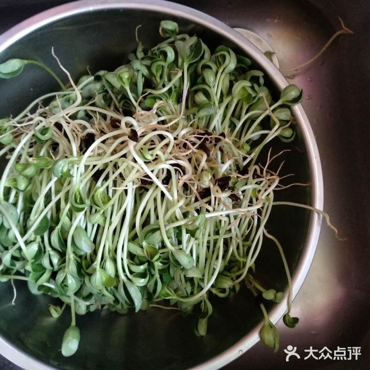 自家种的黑豆芽炒着吃