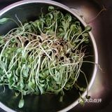 自家种的黑豆芽炒着吃