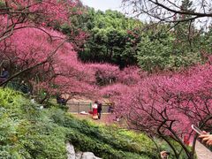 -重庆彩云湖湿地公园