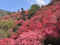 -木兰云雾山