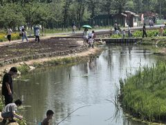 -佛手湖郊野公园